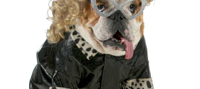 Lorrie the Pet Psychic Spooktacular Pet Costume Contest